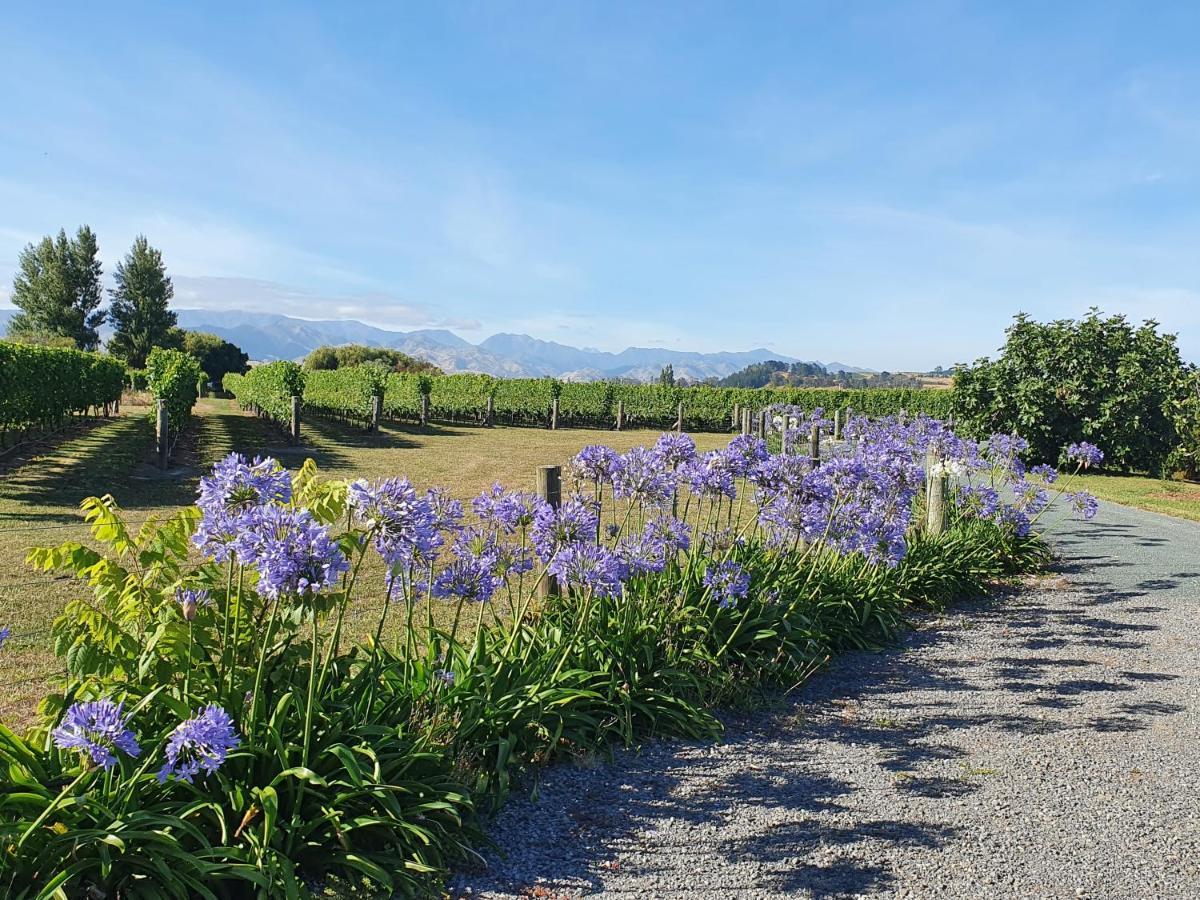 Ddog Vineyard & Bnb 伦威克 外观 照片